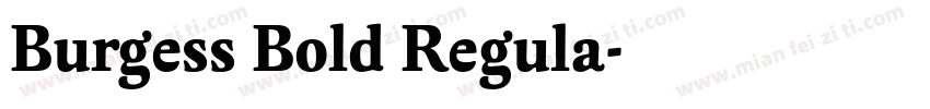Burgess Bold Regula字体转换